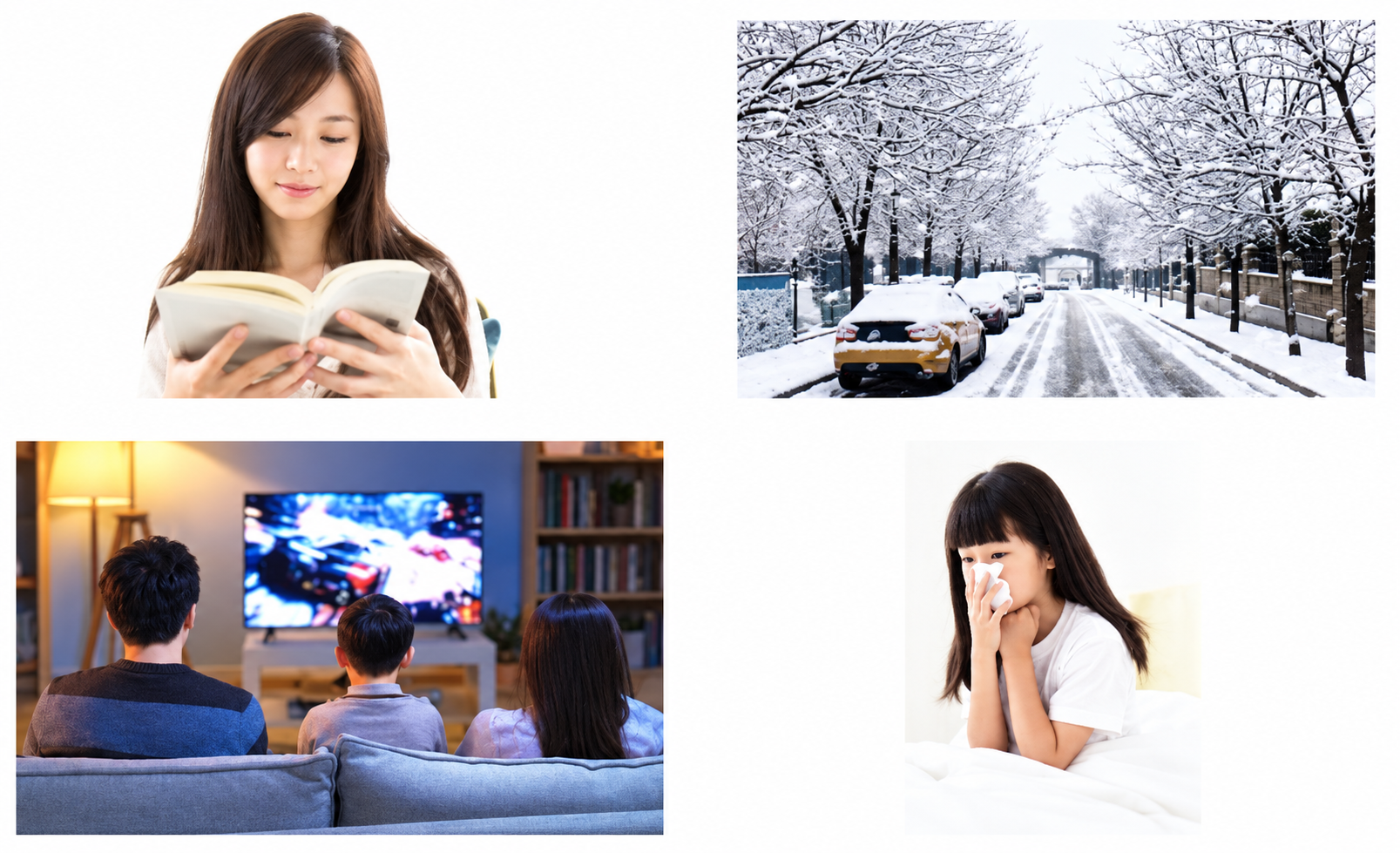 Các hình A đến D cho câu 11-13